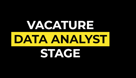 Vacature Data Analyst Stage